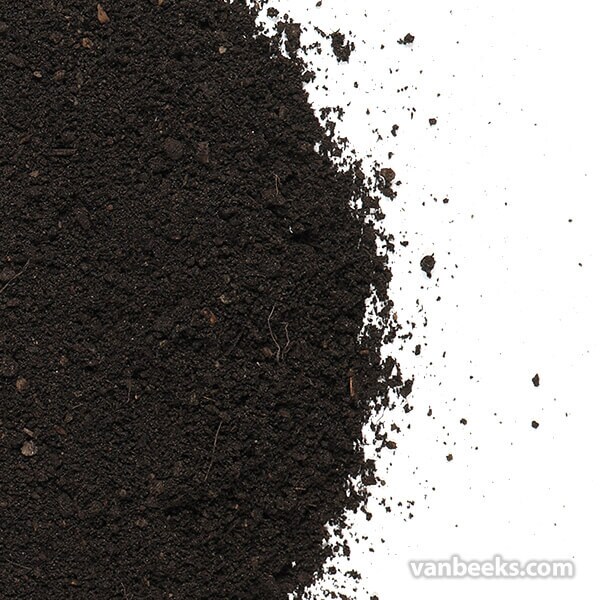 Black Loam preview